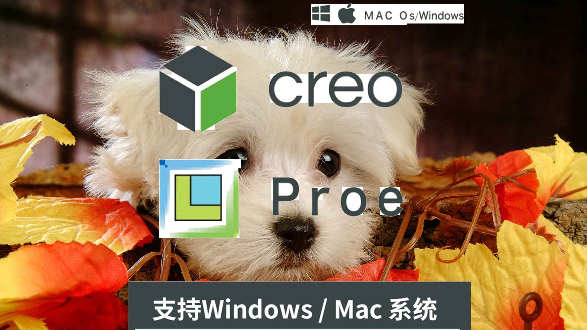 creo软件下载-(creo 20 软件下载)
